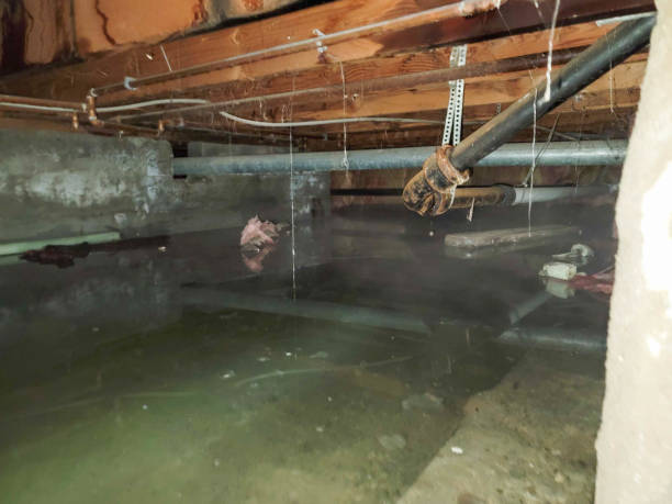 Best Commercial water damage restoration  in Fort Lupton, CO