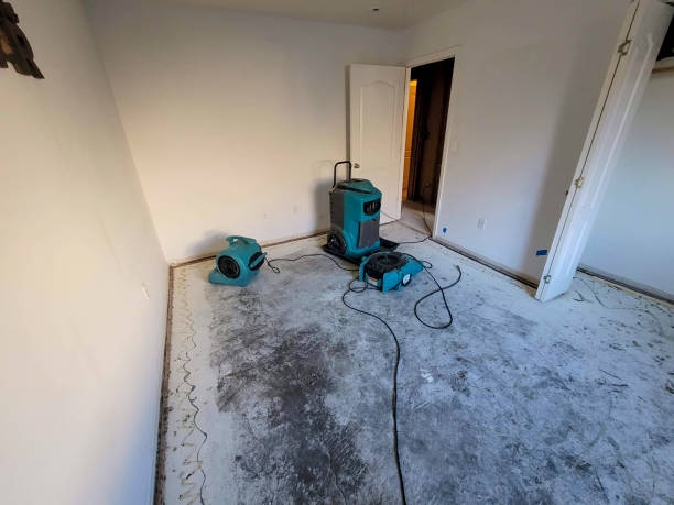 Best Carpet water damage restoration  in Fort Lupton, CO