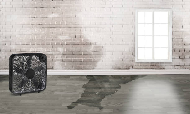 Best 24-hour water damage restoration  in Fort Lupton, CO