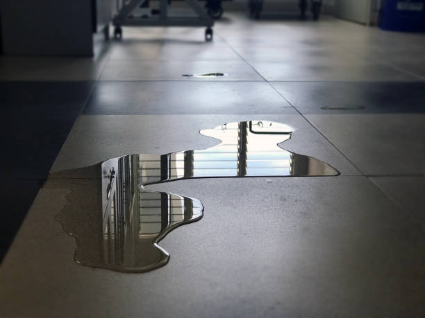 Best Water damage restoration company  in Fort Lupton, CO